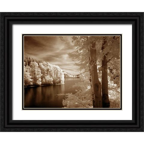 A View To Remember Black Ornate Wood Framed Art Print with Double Matting by Szilagyi, Ily