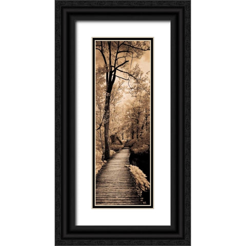 A Quiet Stroll I  Black Ornate Wood Framed Art Print with Double Matting by Szilagyi, Ily