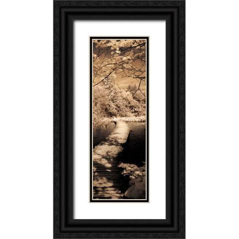 A Quiet Stroll II Black Ornate Wood Framed Art Print with Double Matting by Szilagyi, Ily