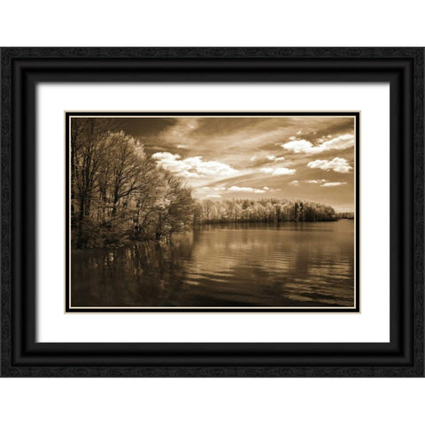Natures Glory Black Ornate Wood Framed Art Print with Double Matting by Szilagyi, Ily