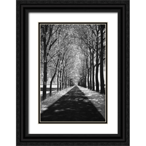 Follow Me Black Ornate Wood Framed Art Print with Double Matting by Szilagyi, Ily