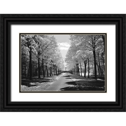 Sublime Black Ornate Wood Framed Art Print with Double Matting by Szilagyi, Ily