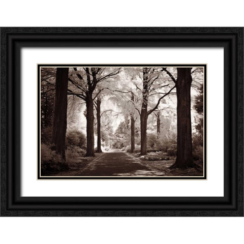 Arcadia Black Ornate Wood Framed Art Print with Double Matting by Szilagyi, Ily