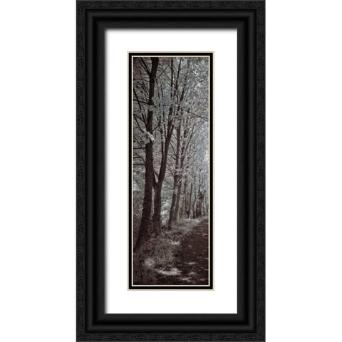 A Walk To Remember I Black Ornate Wood Framed Art Print with Double Matting by Szilagyi, Ily