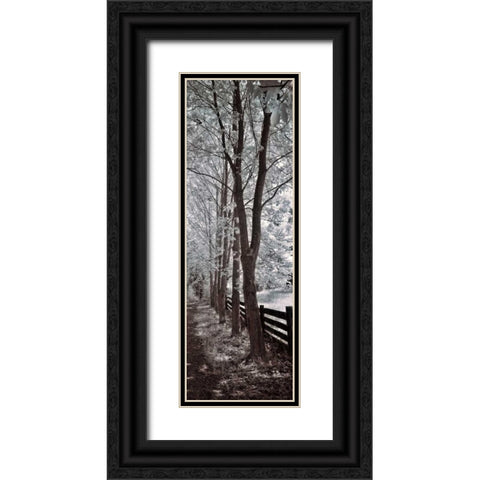 A Walk To Remember II Black Ornate Wood Framed Art Print with Double Matting by Szilagyi, Ily