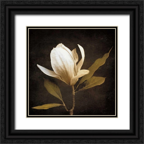 Grandeur Black Ornate Wood Framed Art Print with Double Matting by Szilagyi, Ily