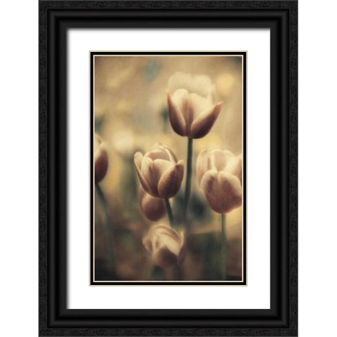 Tinted Tulips III Black Ornate Wood Framed Art Print with Double Matting by Schrack, Thea
