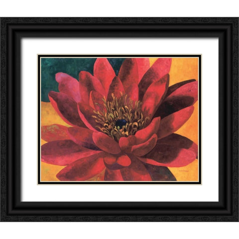 Red Water Lily Black Ornate Wood Framed Art Print with Double Matting by Torrontegui, Maria