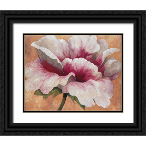 Pink Begonia Black Ornate Wood Framed Art Print with Double Matting by Torrontegui, Maria