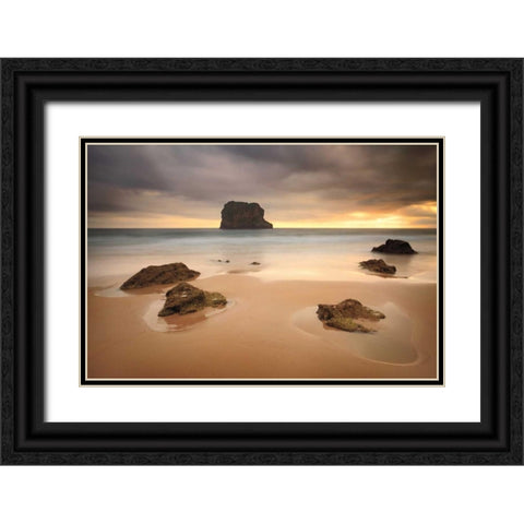Ballota  Black Ornate Wood Framed Art Print with Double Matting by Vera, Urtzi
