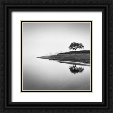 Tree in the Lake Black Ornate Wood Framed Art Print with Double Matting by Manuel, Alexandre