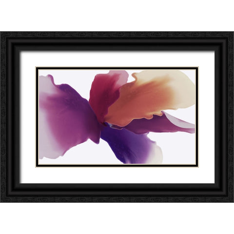 Orangico Black Ornate Wood Framed Art Print with Double Matting by Black, Alex
