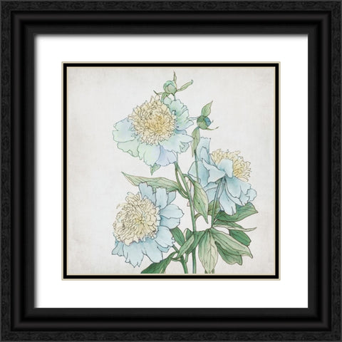 Delicate Botanical Blue I Black Ornate Wood Framed Art Print with Double Matting by Black, Alex