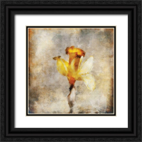 Sepia Bloom III Black Ornate Wood Framed Art Print with Double Matting by Bingham, John