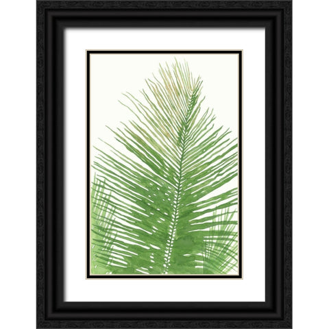 Palma da Cocco Black Ornate Wood Framed Art Print with Double Matting by Errico and Slyp