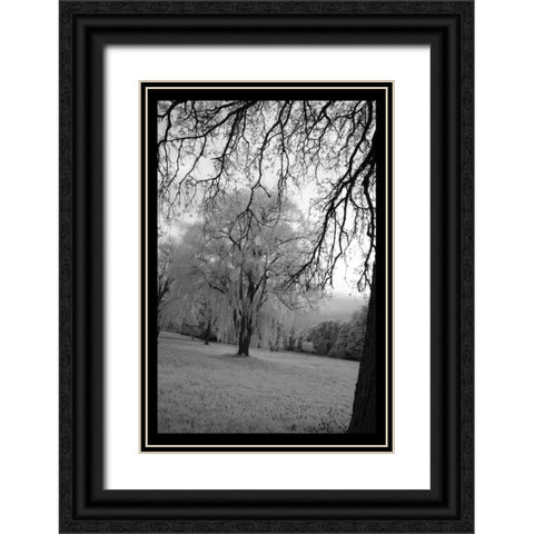 Infra Red Forest I Black Ornate Wood Framed Art Print with Double Matting by Comfort, David