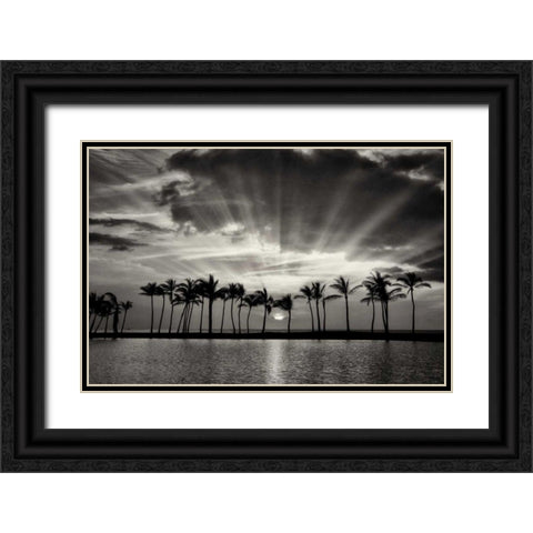 Summer Breezes II Black Ornate Wood Framed Art Print with Double Matting by Frates, Dennis