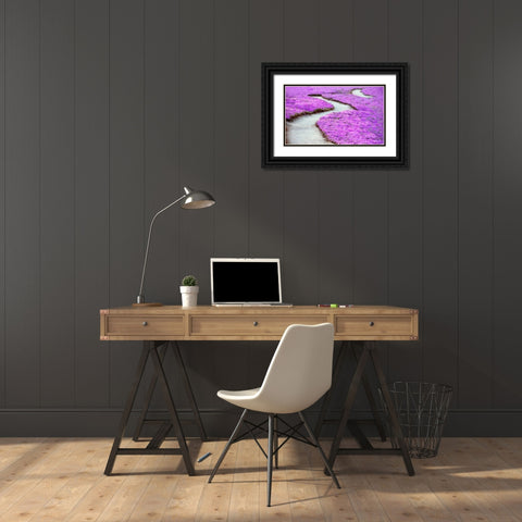 Violet Path Black Ornate Wood Framed Art Print with Double Matting by Frates, Dennis