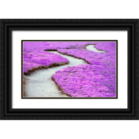Violet Path Black Ornate Wood Framed Art Print with Double Matting by Frates, Dennis