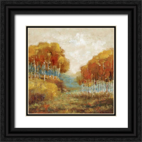 Weathered Scape II Black Ornate Wood Framed Art Print with Double Matting by Dolce, Carmen