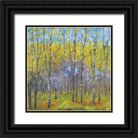 A Spring Day Black Ornate Wood Framed Art Print with Double Matting by Dolce, Carmen