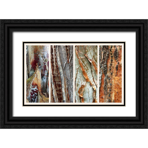 Palm Bark I Black Ornate Wood Framed Art Print with Double Matting by Jenney, Jessica