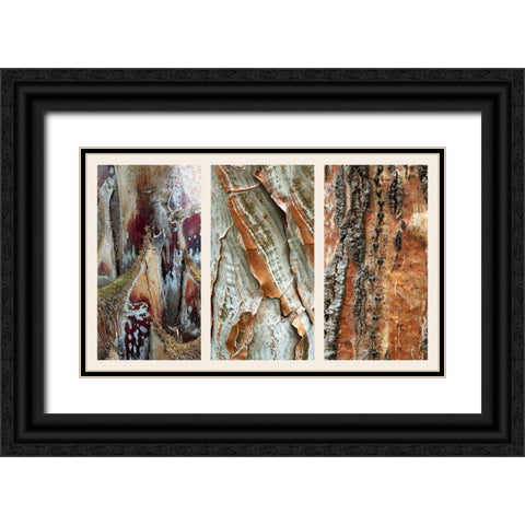 Palm Bark II Black Ornate Wood Framed Art Print with Double Matting by Jenney, Jessica