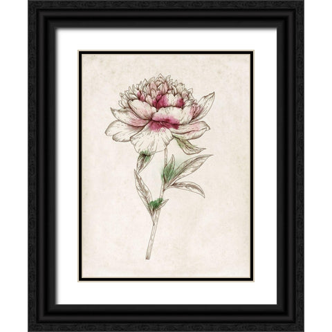 Sophistication I  Black Ornate Wood Framed Art Print with Double Matting by Watts, Eva