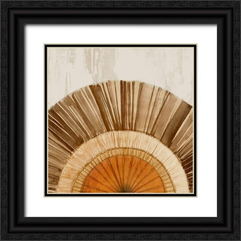 Arizona Fan I  Black Ornate Wood Framed Art Print with Double Matting by Isabelle Z