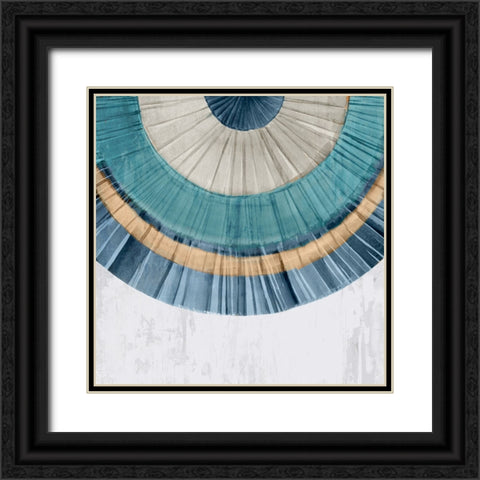Arizona Fan II Blue Version Black Ornate Wood Framed Art Print with Double Matting by Isabelle Z