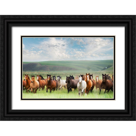 Horse Stampede Black Ornate Wood Framed Art Print with Double Matting by Lane, Georgianna