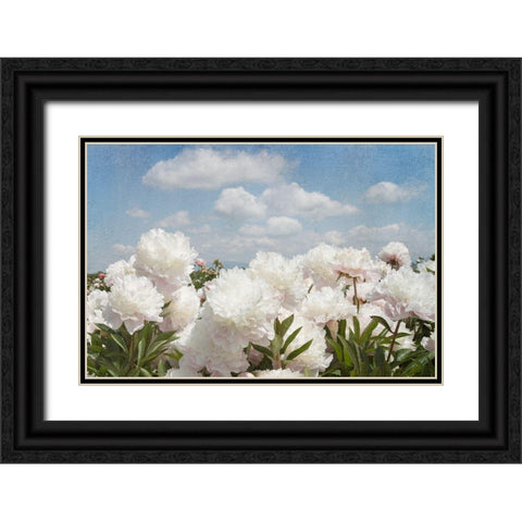 Peonie Sunshine I Black Ornate Wood Framed Art Print with Double Matting by Lane, Georgianna