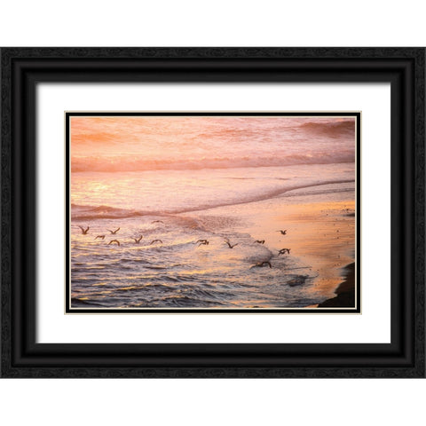 Ocean Beach and Sunset Seagulls Black Ornate Wood Framed Art Print with Double Matting by Nature Magick