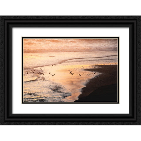 Sunset Seagulls and Pacific Ocean II Black Ornate Wood Framed Art Print with Double Matting by Nature Magick