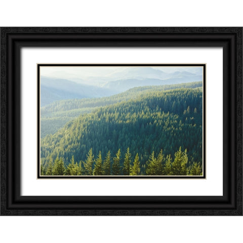 Green Vintage Treescape Black Ornate Wood Framed Art Print with Double Matting by Nature Magick