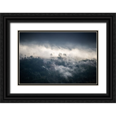 Fir Trees in the Forest Fog Blue Black Ornate Wood Framed Art Print with Double Matting by Nature Magick