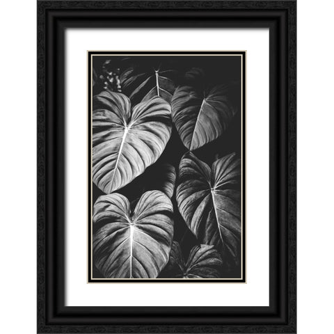 Monstera Leaves Jungle Black and White Tropical Black Ornate Wood Framed Art Print with Double Matting by Nature Magick