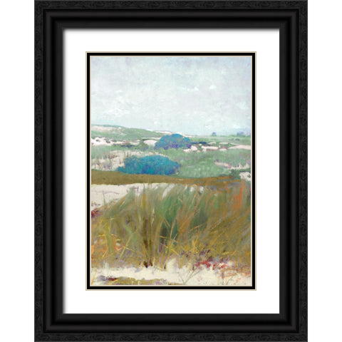 Seaside Breeze III Black Ornate Wood Framed Art Print with Double Matting by Hunziker, Steve
