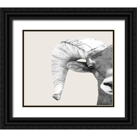 Rambo  Black Ornate Wood Framed Art Print with Double Matting by Hatfiled, Jodi