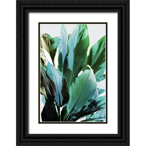 Green Leaves II  Black Ornate Wood Framed Art Print with Double Matting by Bainbridge, Hope