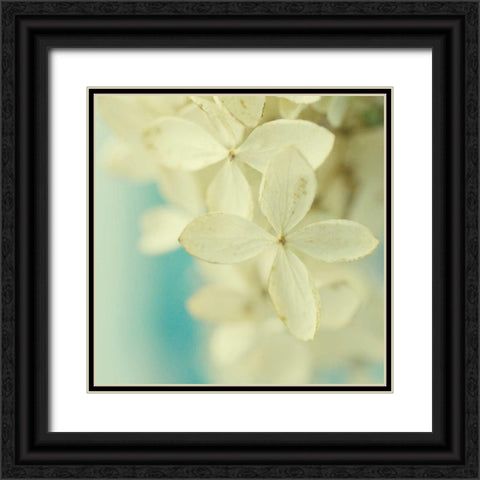 Vanilla Black Ornate Wood Framed Art Print with Double Matting by Stalus, Judy