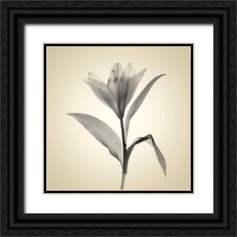 Maples Black Ornate Wood Framed Art Print with Double Matting by Stalus, Judy