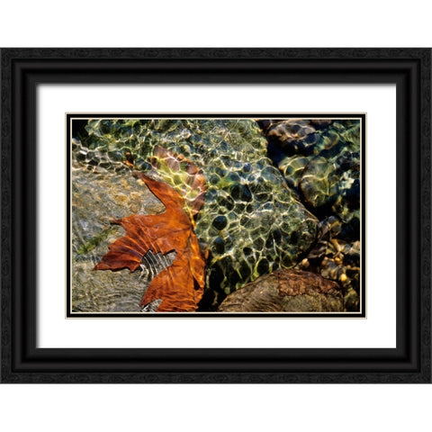 Carmanah Creek I Black Ornate Wood Framed Art Print with Double Matting by Friesen, Jeff