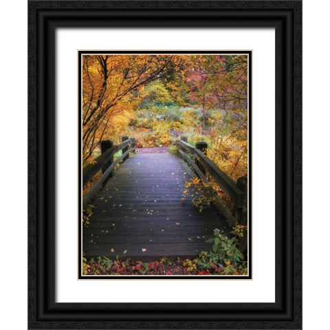 Bridge Over Shallow Water Black Ornate Wood Framed Art Print with Double Matting by Jenney, Jessica