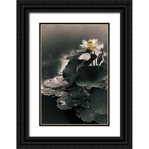 Lotus in the Mist Black Ornate Wood Framed Art Print with Double Matting by Jenney, Jessica