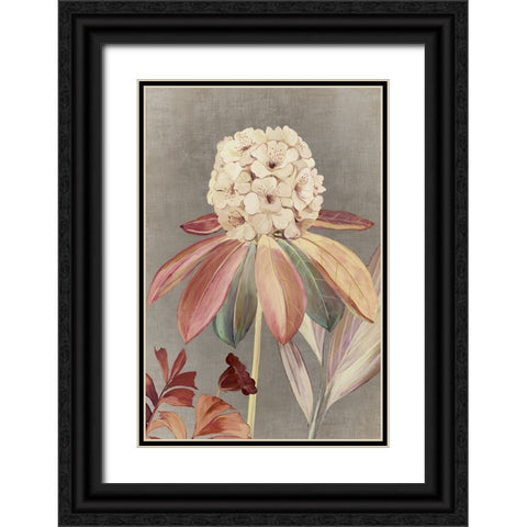 Fairytale III Black Ornate Wood Framed Art Print with Double Matting by Jensen, Asia