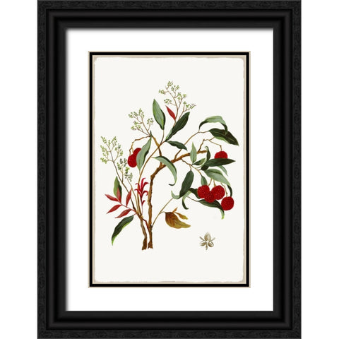 New Botana II  Black Ornate Wood Framed Art Print with Double Matting by Jensen, Asia