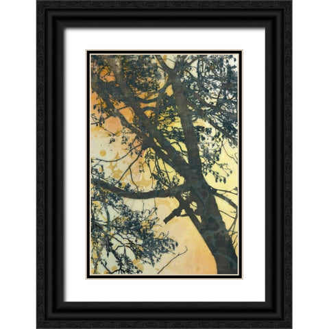 Bubbly Branches  Black Ornate Wood Framed Art Print with Double Matting by McMasters, James