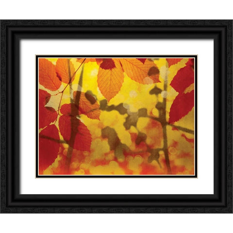 Golden Foliage Black Ornate Wood Framed Art Print with Double Matting by McMasters, James