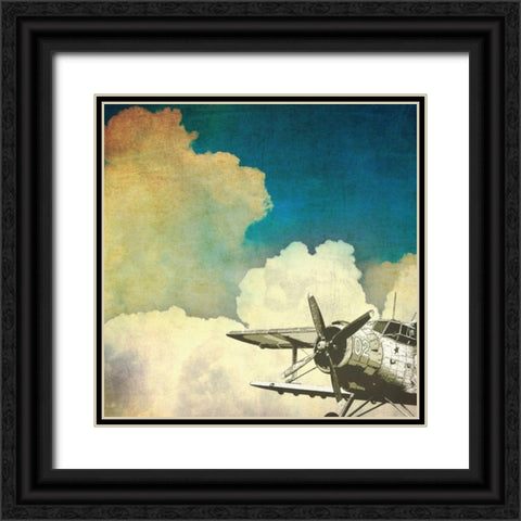 Flying High Black Ornate Wood Framed Art Print with Double Matting by Calaguiro, Kevin